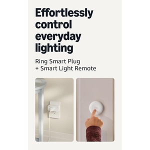 Smart Plug with Smart Light Remote